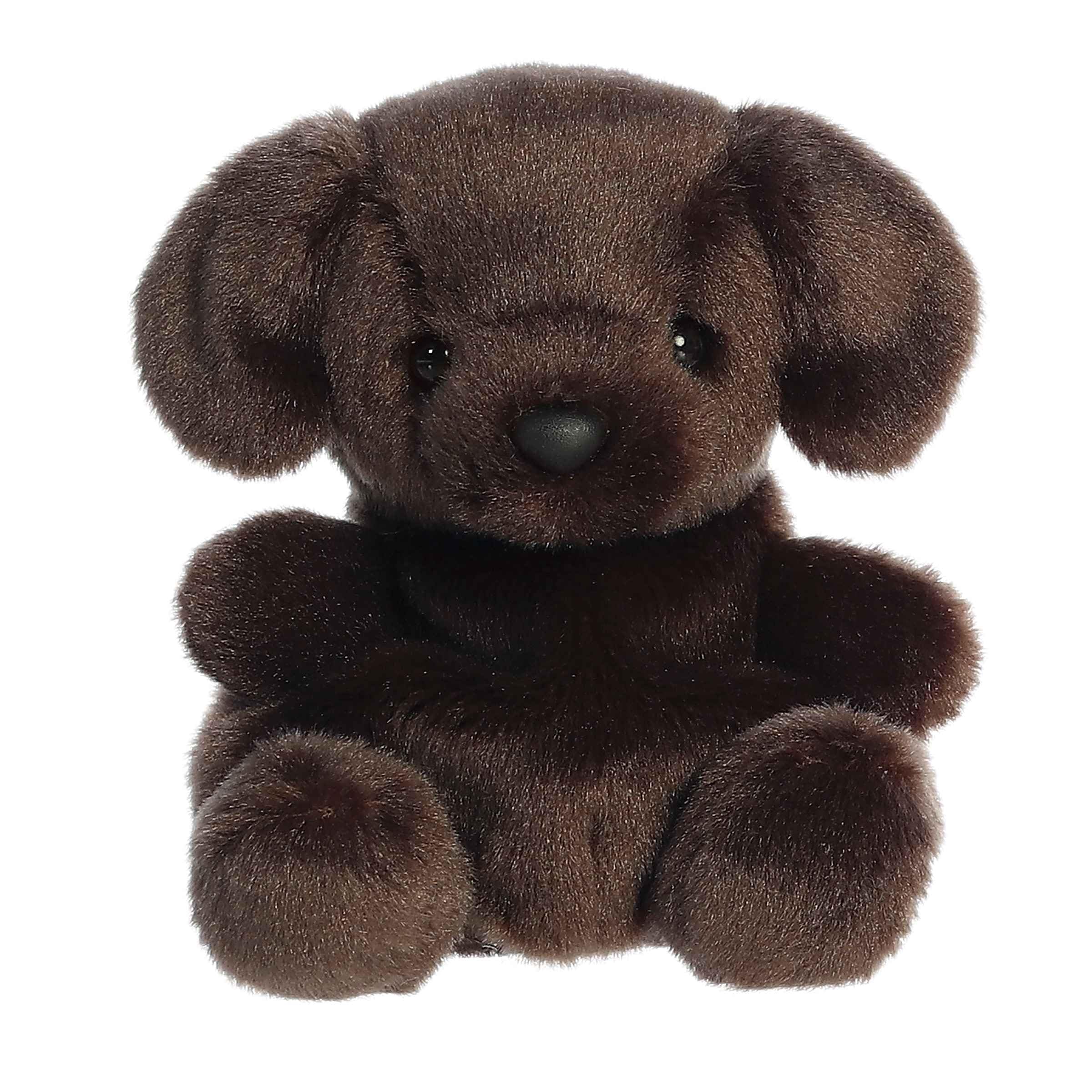 Amazon.com: Aurora® Adorable Palm Pals™ Sienna Chocolate Lab